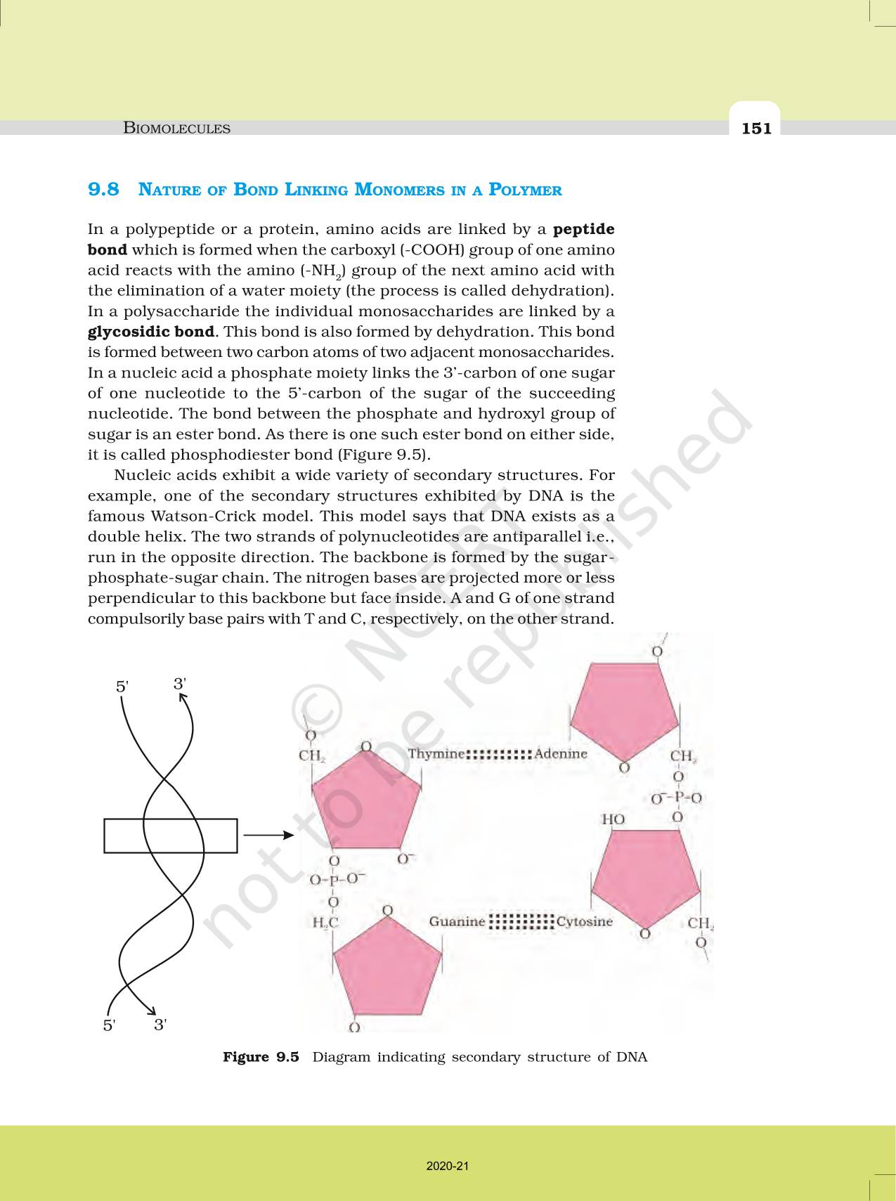 Biomolecules Ncert Book Of Class Biology